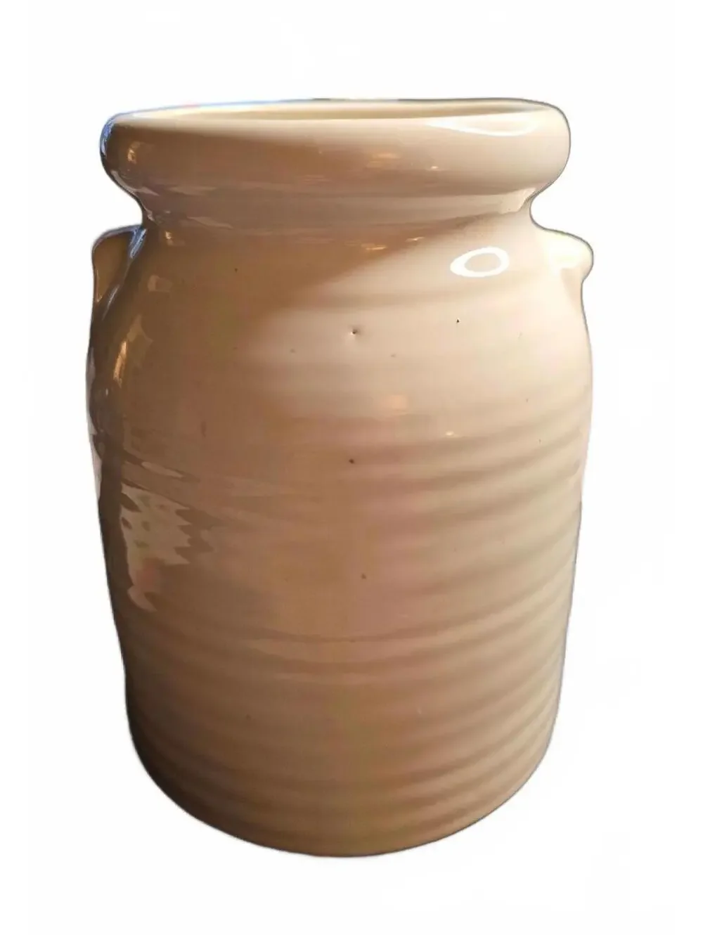 Cute Vintage Ceramic Duck Kitchen Ceramic Jar